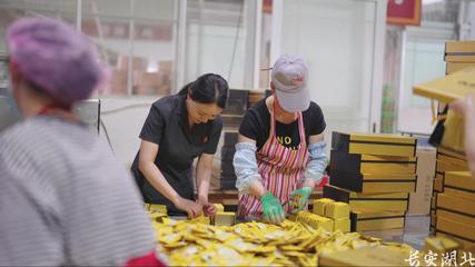 以司法之力，護茶香悠悠——宣恩縣法院加強知識產(chǎn)權(quán)法治保障有力支持全面創(chuàng)新